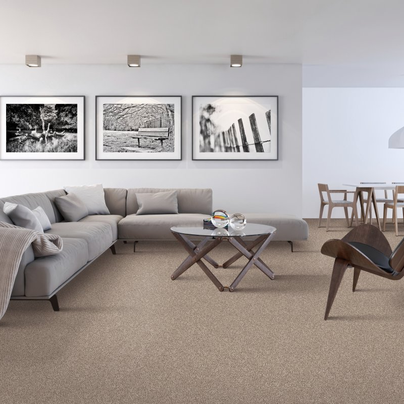 Harrisburg Wall & Flooring providing stain-resistant pet proof carpet in Harrisburg, OH Lansing Terrace - Parchment