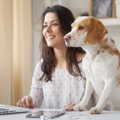 Woman and dog reading flooring product reviews on computer